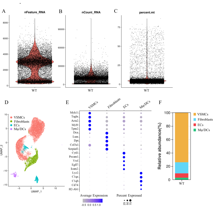 RNA feature analysis; violin plots, UMAP, dot plot, and bar chart; cell type gene expression.