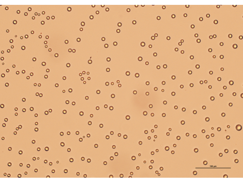 figure-results-2 figure-results-2