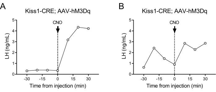 Kiss1-CRE experiment graph; LH levels post-CNO injection, time-course analysis, diagram.