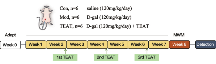 figure-results-1 figure-results-1