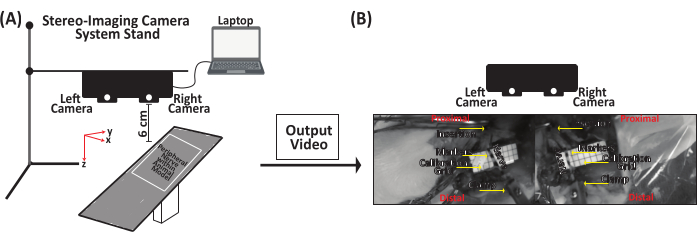Stereo-imaging system diagram for motion analysis; camera setup and output video process shown.