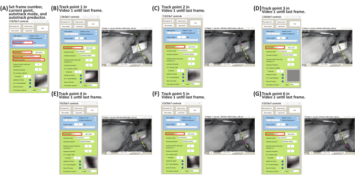 Tracking software interface operation for video analysis, showing steps to set frame and track points.