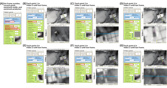 Video tracking setup for motion analysis; software interface with controls and tracked points.
