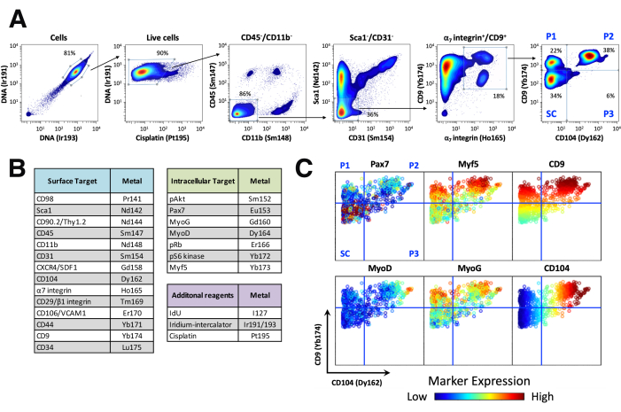 Flow cytometry analysis; cell population gating diagram; marker expression data; CD45, CD11b profiling.