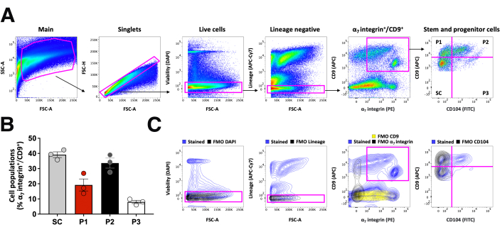 Flow cytometry analysis; cell population gating; graph of cell viability, linage-negative stem cells.