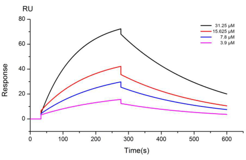 Real-Time Detection of Dynamic Affinity between Biomolecules Using ...