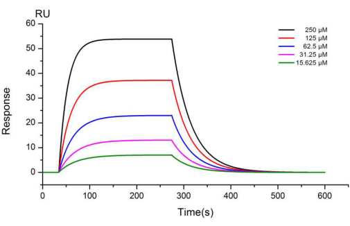 Real-Time Detection of Dynamic Affinity between Biomolecules Using ...