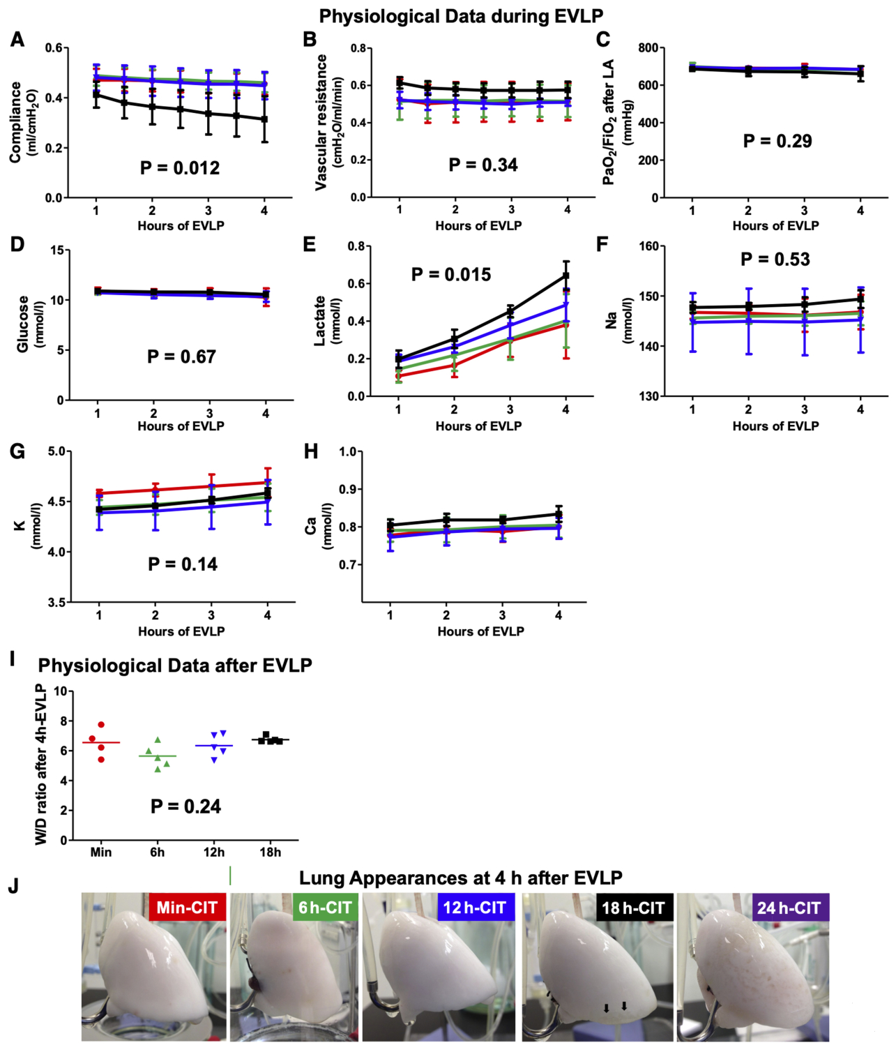 Establishment of an Ex Vivo Lung Perfusion Rat Model for Translational ...