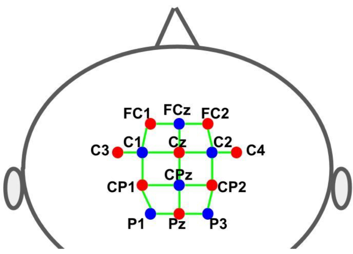 Electrode placement diagram for EEG cap, showing electrode labels and positions on scalp.