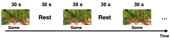Gaming and rest cycle diagram; time intervals of gameplay and rest periods.
