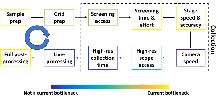 figure-results-2 Sample preparation workflow diagram; highlights bottlenecks in microscopy data collection processes.