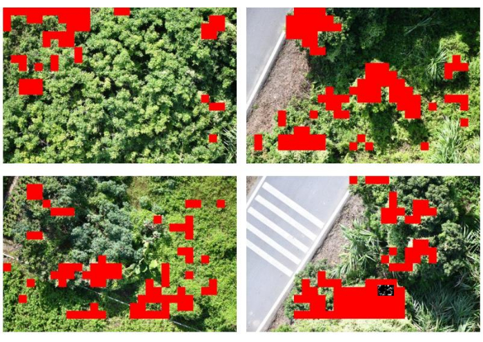 Aerial vegetation analysis diagram; red areas indicate data segmentation for environmental study.