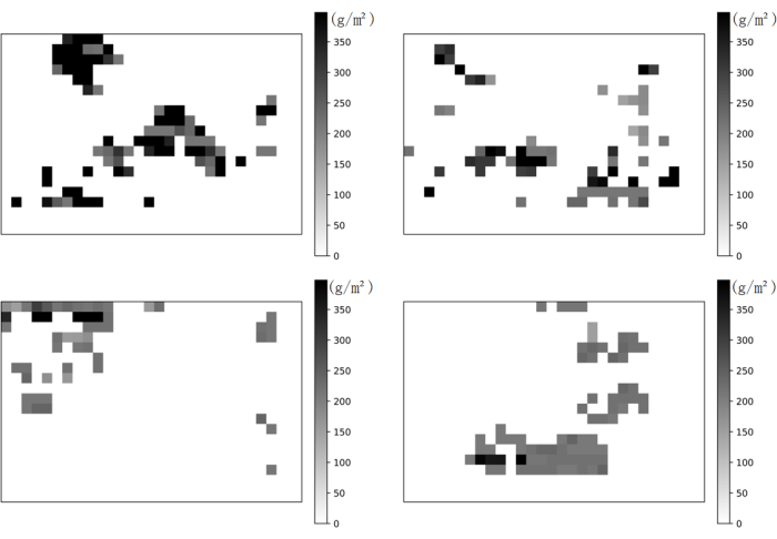 Soil density distribution, grayscale heatmaps, visual data analysis, g/m² measurement, diagram.