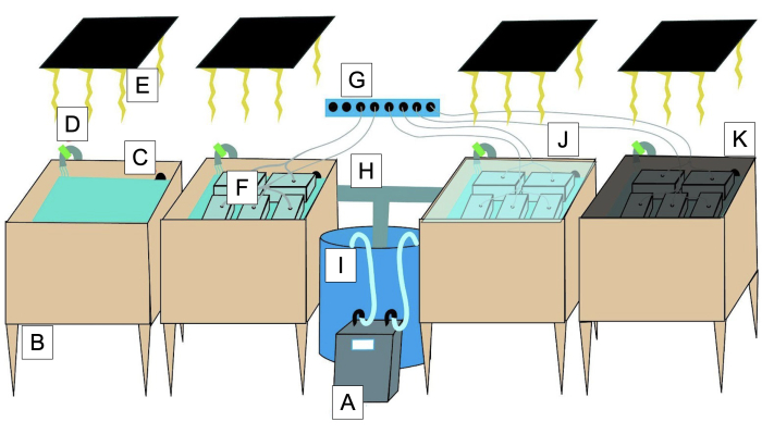 Solar water heating system setup diagram; solar panels, water tanks, fluid circulation process.
