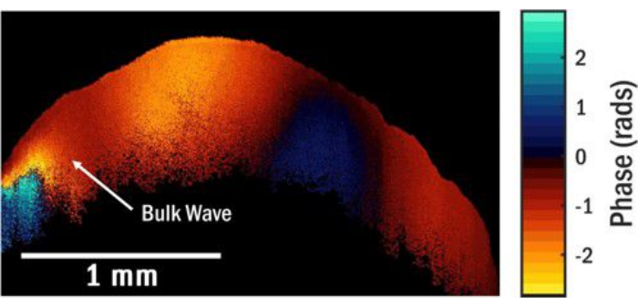Ultrasound phase diagram; bulk wave visualization; shows phase changes in radians with color scale.
