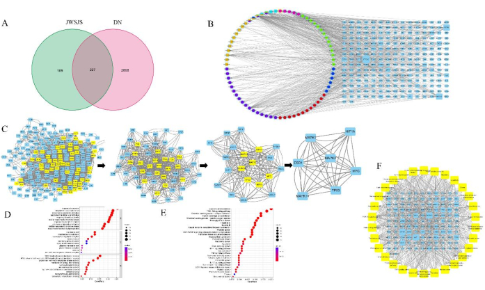 Venn diagram, network analysis, gene interaction charts, pathway mapping, data analysis graphs.