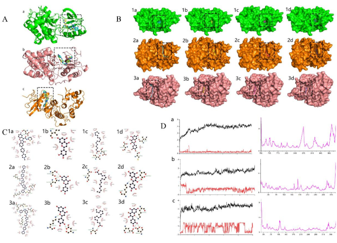 Protein structure analysis; diagram of molecular conformations and comparative spectral data results.