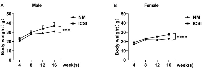figure-results-5 body weight growth chart for male and female through weeks; NM vs. ICSI method comparison.