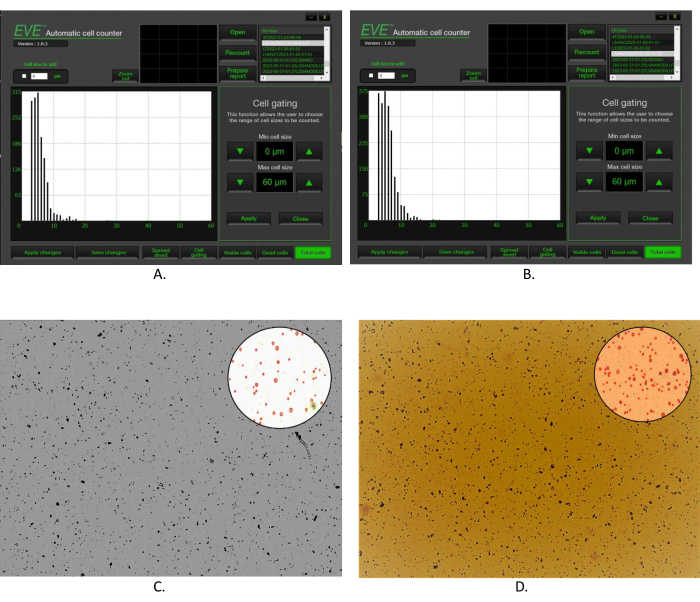 Automatic cell counting method; histogram and microscope images; cell size gating and analysis.