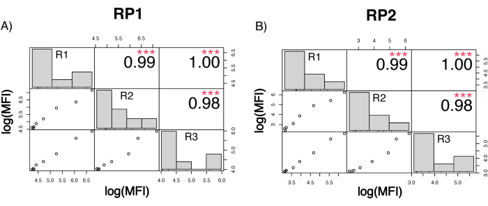 figure-results-5 Scatter plot matrix for RP1, RP2; log(MFI) correlations; data analysis chart; research visualization.