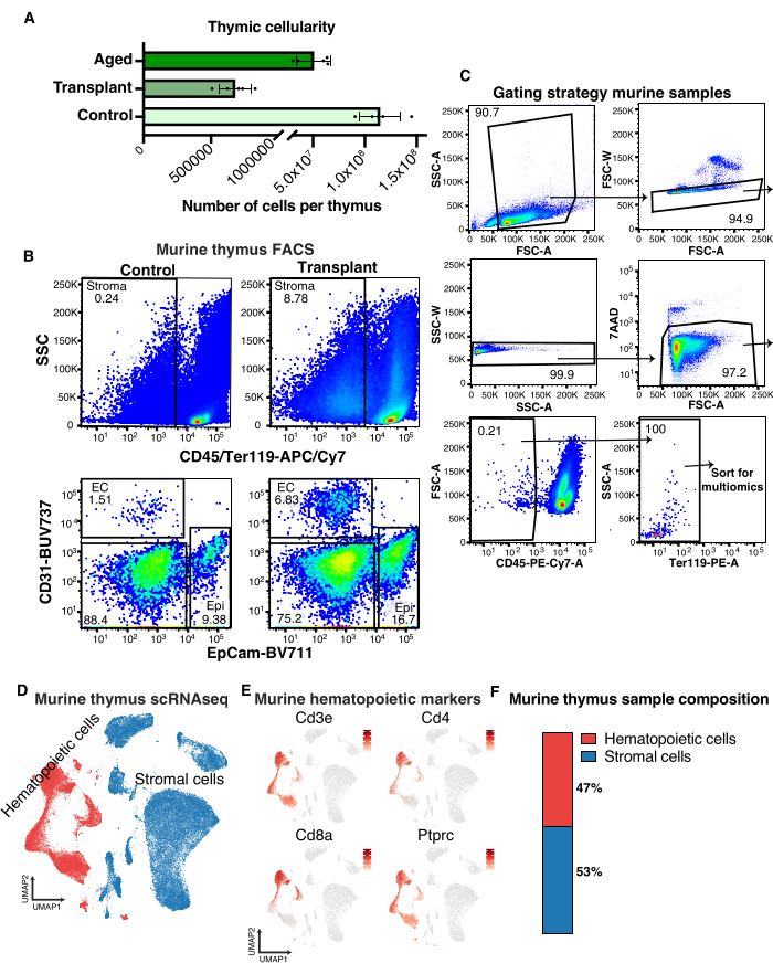 Thymic cellularity analysis with FACS plots, gating strategy, scRNAseq, and cell composition chart.