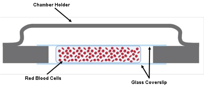 figure-protocol-1
