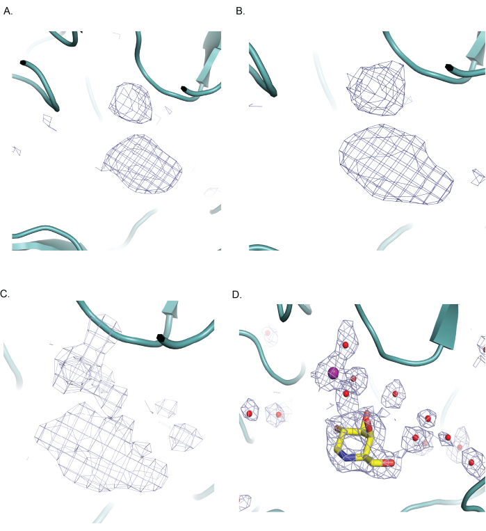 figure-results-4 Protein-ligand interaction in X-ray crystallography, structural diagram, binding site analysis.
