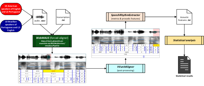 Speech data analysis diagram: forced alignment, rhythm extraction, statistical analysis process.