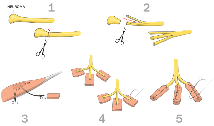 figure-protocol-1