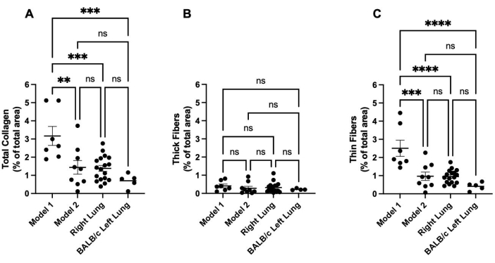 Lung collagen distribution analysis, bar chart; data comparison among models and lungs, statistical markers.