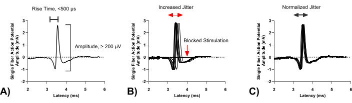 Single fiber action potential graphs showing rise time, jitter, and blocked stimulation analysis.