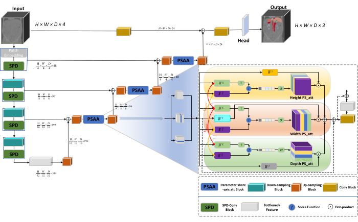 figure-introduction-1 Neural network diagram, SPD and PSAA blocks, illustrating data flow and spatial processing.