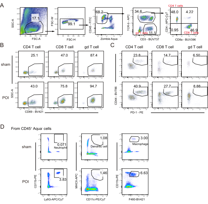figure-results-4 Flow cytometry analysis: immune cell differentiation, T cell activation, CD45+ gating, data comparison.