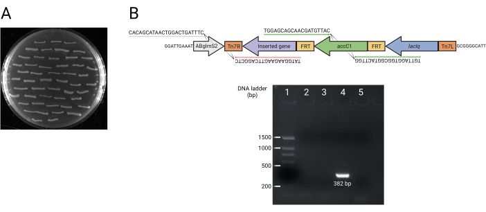 figure-results-4