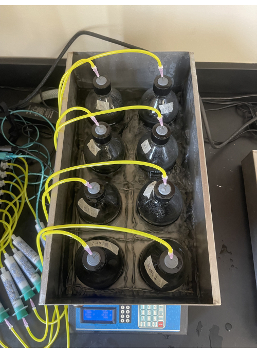 Fermentation process with water bath setup; analytical chemistry experiment.
