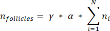 formula for calculating follicle count in biological systems using gamma, alpha, and summation