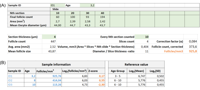 Follicle analysis table with sample, age, follicle density data; includes calculation and z-score results.
