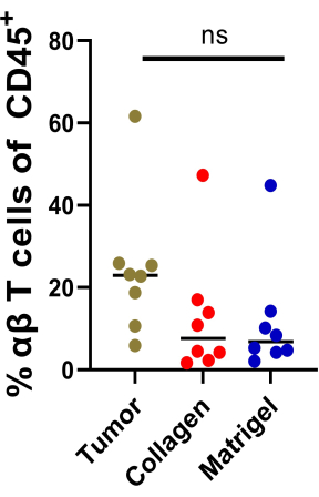 figure-results-3 Alpha-beta T cell distribution; scatter plot; tumor, collagen, Matrigel comparison; immunology analysis.