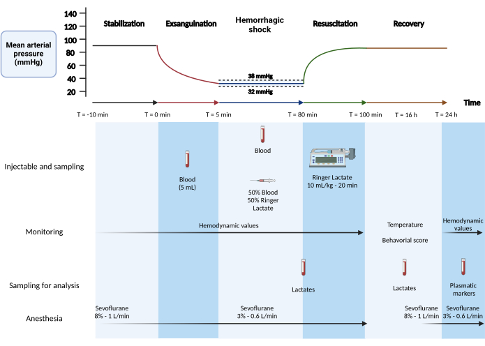 Hemorrhagic shock recovery diagram with mean arterial pressure over time; injectable sampling setup.