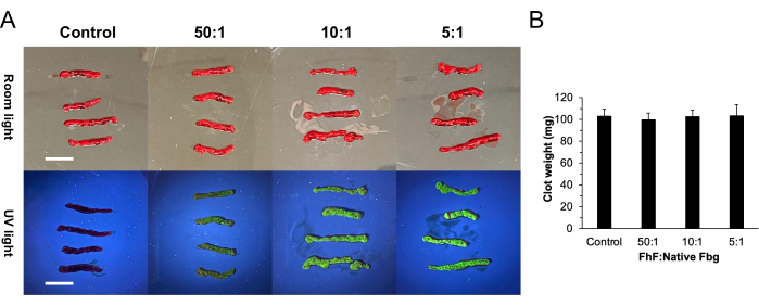 Blood clot color variations under room and UV light with clot weight bar graph; protein analysis.