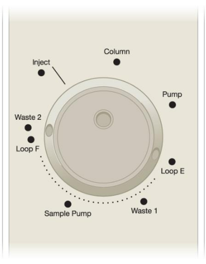 Chromatography system diagram; valve layout for sample injection, flow paths to column, waste, pumps.