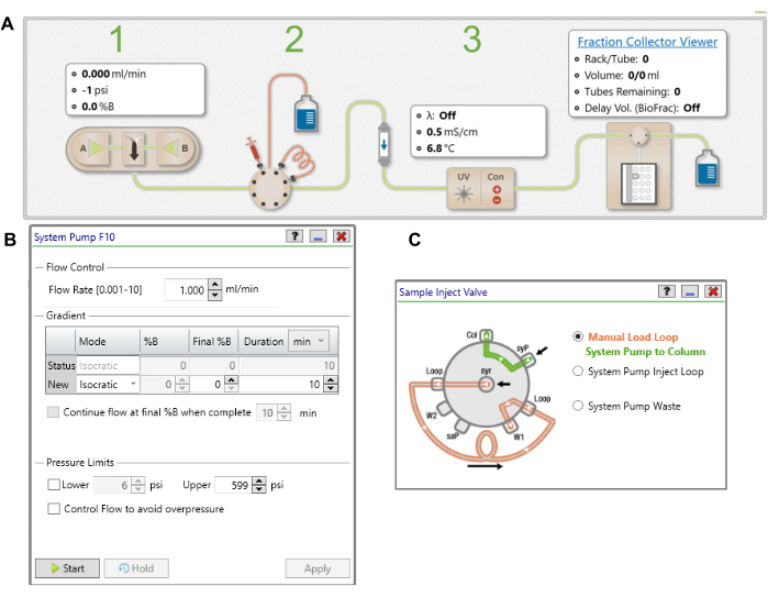 Chromatography system diagram with flow control, pump setup, and sample inject valve for protein purification.