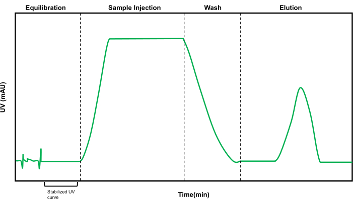 UV chromatography graph; sample injection, wash, elution process; absorption analysis; results.