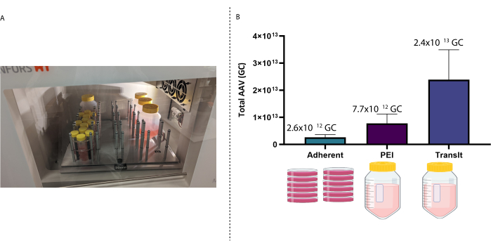 figure-results-2 AAV production setup with incubation cabinet; bar chart displays total AAV yield using different methods.