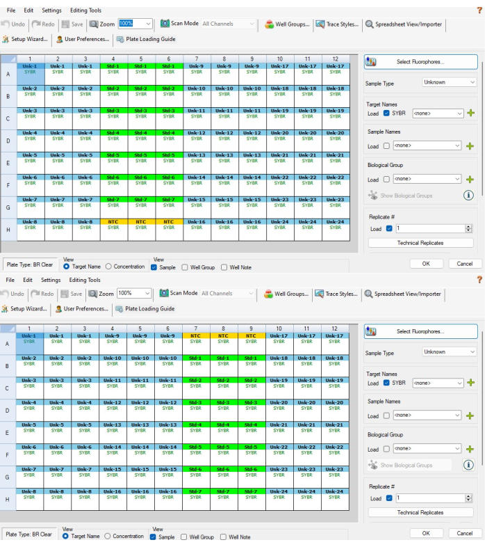 PCR plate setup chart with SYBR wells for DNA quantification analysis.