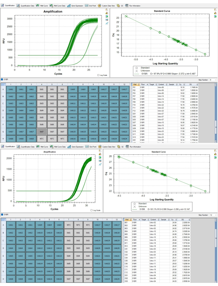 qPCR data analysis with amplification curves and standard curves; fluorescence measurements.