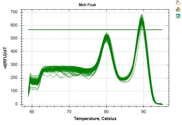 Melt curve analysis graph; DNA denaturation profile; temperature vs. relative fluorescence.