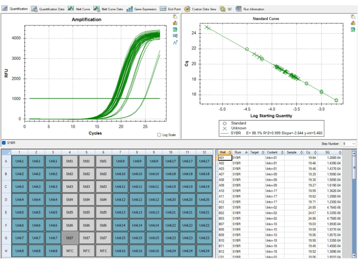 Real-time PCR analysis showing amplification curves, standard curve, and sample data table.