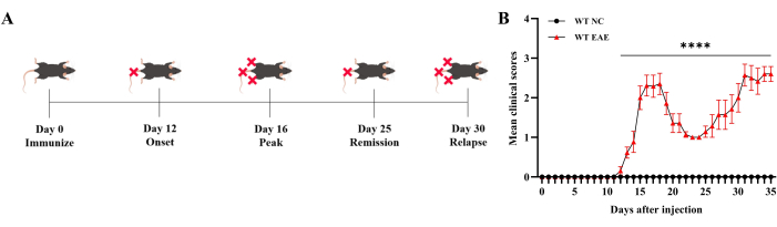 figure-results-1