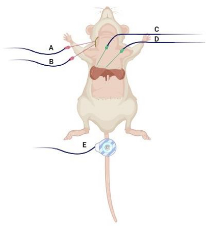 figure-results-1